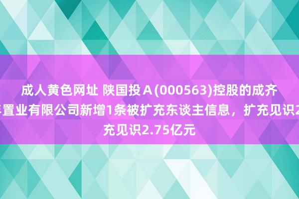 成人黄色网址 陕国投Ａ(000563)控股的成齐中德颐年置业有限公司新增1条被扩充东谈主信息，扩充见识2.75亿元