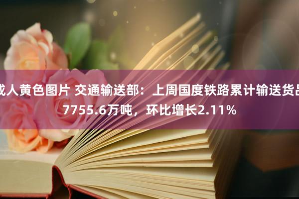 成人黄色图片 交通输送部：上周国度铁路累计输送货品7755.6万吨，环比增长2.11%