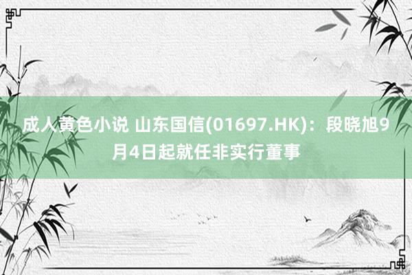 成人黄色小说 山东国信(01697.HK)：段晓旭9月4日起就任非实行董事