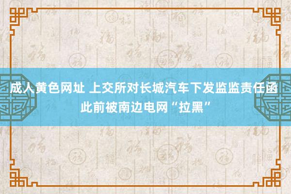 成人黄色网址 上交所对长城汽车下发监监责任函 此前被南边电网“拉黑”