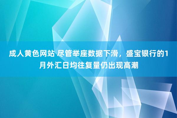 成人黄色网站 尽管举座数据下滑，盛宝银行的1月外汇日均往复量仍出现高潮