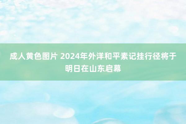 成人黄色图片 2024年外洋和平素记挂行径将于明日在山东启幕