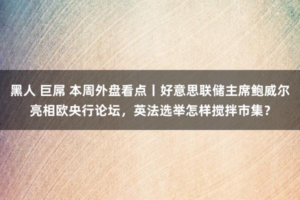 黑人 巨屌 本周外盘看点丨好意思联储主席鲍威尔亮相欧央行论坛，英法选举怎样搅拌市集？