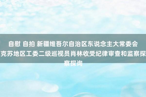 自慰 自拍 新疆维吾尔自治区东说念主大常委会阿克苏地区工委二级巡视员肖林收受纪律审查和监察探询