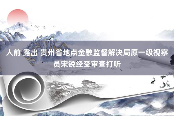 人前 露出 贵州省地点金融监督解决局原一级视察员宋锐经受审查打听