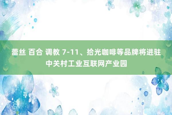 蕾丝 百合 调教 7-11、拾光咖啡等品牌将进驻中关村工业互联网产业园