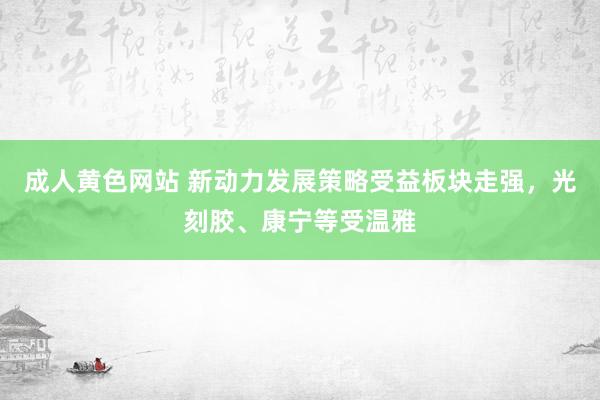 成人黄色网站 新动力发展策略受益板块走强，光刻胶、康宁等受温雅