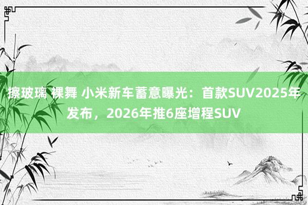 擦玻璃 裸舞 小米新车蓄意曝光：首款SUV2025年发布，2026年推6座增程SUV