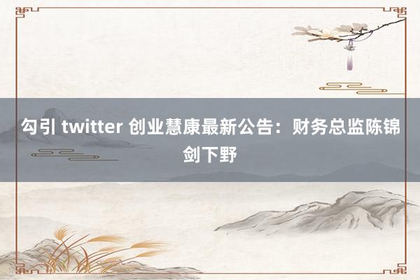 勾引 twitter 创业慧康最新公告：财务总监陈锦剑下野