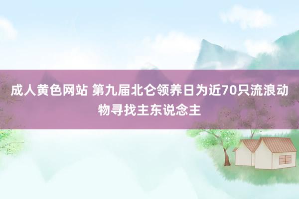 成人黄色网站 第九届北仑领养日为近70只流浪动物寻找主东说念主