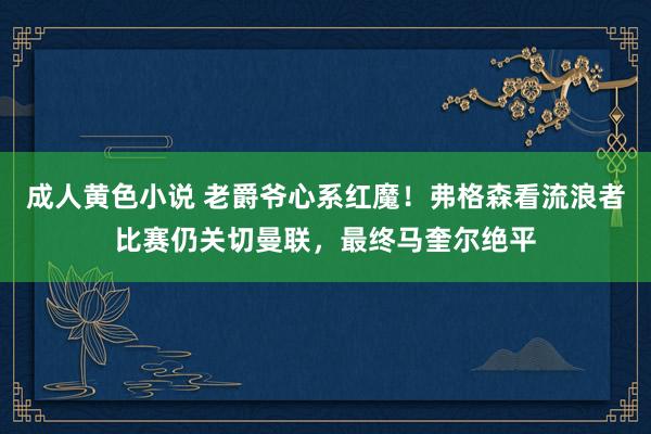 成人黄色小说 老爵爷心系红魔！弗格森看流浪者比赛仍关切曼联，最终马奎尔绝平