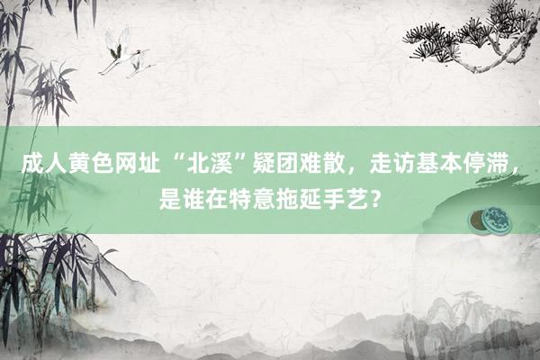 成人黄色网址 “北溪”疑团难散，走访基本停滞，是谁在特意拖延手艺？