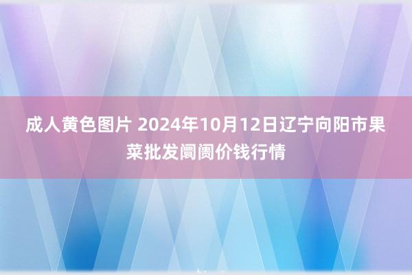 成人黄色图片 2024年10月12日辽宁向阳市果菜批发阛阓价钱行情