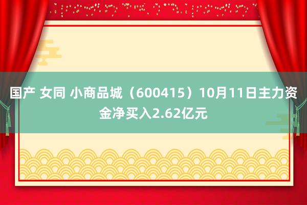 国产 女同 小商品城（600415）10月11日主力资金净买入2.62亿元