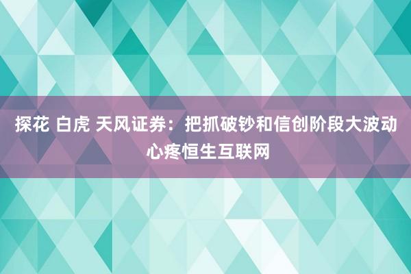 探花 白虎 天风证券：把抓破钞和信创阶段大波动 心疼恒生互联网