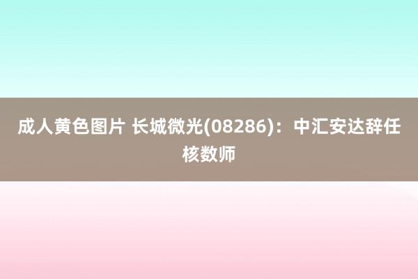 成人黄色图片 长城微光(08286)：中汇安达辞任核数师