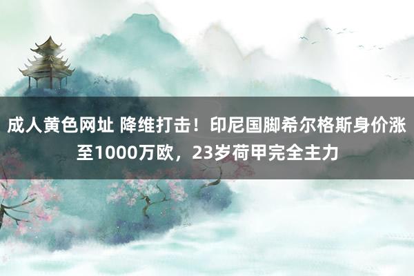 成人黄色网址 降维打击！印尼国脚希尔格斯身价涨至1000万欧，23岁荷甲完全主力