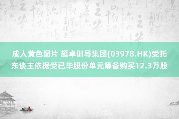 成人黄色图片 超卓训导集团(03978.HK)受托东谈主依据受已毕股份单元筹备购买12.3万股