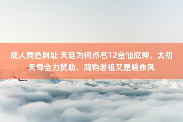 成人黄色网址 天廷为何点名12金仙成神，太初天尊全力赞助，鸿钧老祖又是啥作风