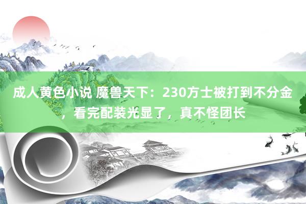 成人黄色小说 魔兽天下：230方士被打到不分金，看完配装光显了，真不怪团长