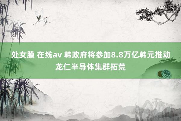 处女膜 在线av 韩政府将参加8.8万亿韩元推动龙仁半导体集群拓荒