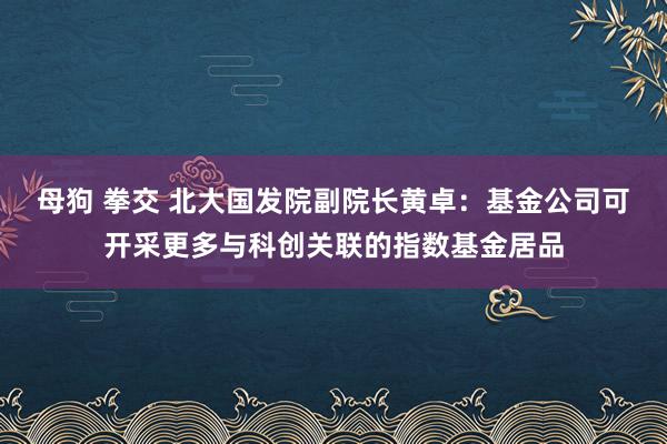 母狗 拳交 北大国发院副院长黄卓：基金公司可开采更多与科创关联的指数基金居品