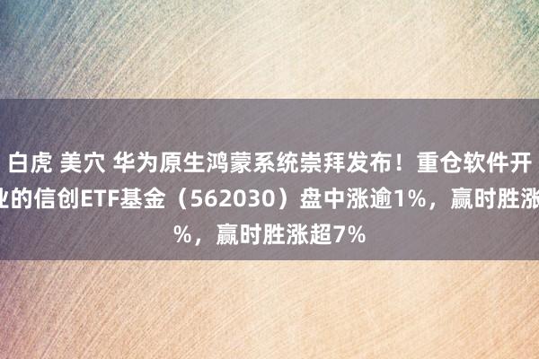 白虎 美穴 华为原生鸿蒙系统崇拜发布！重仓软件开导行业的信创ETF基金（562030）盘中涨逾1%，赢时胜涨超7%