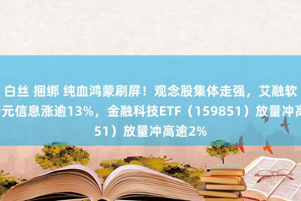 白丝 捆绑 纯血鸿蒙刷屏！观念股集体走强，艾融软件、普元信息涨逾13%，金融科技ETF（159851）放量冲高逾2%