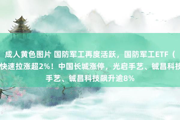 成人黄色图片 国防军工再度活跃，国防军工ETF（512810）快速拉涨超2%！中国长城涨停，光启手艺、铖昌科技飙升逾8%