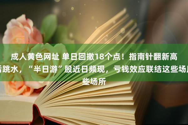 成人黄色网址 单日回撤18个点！指南针翻新高后跳水，“半日游”股近日频现，亏钱效应联结这些场所