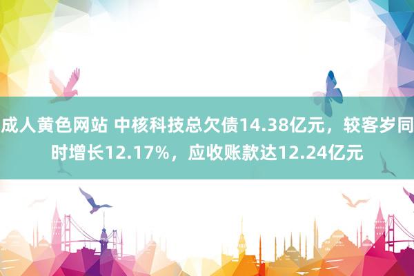 成人黄色网站 中核科技总欠债14.38亿元，较客岁同时增长12.17%，应收账款达12.24亿元