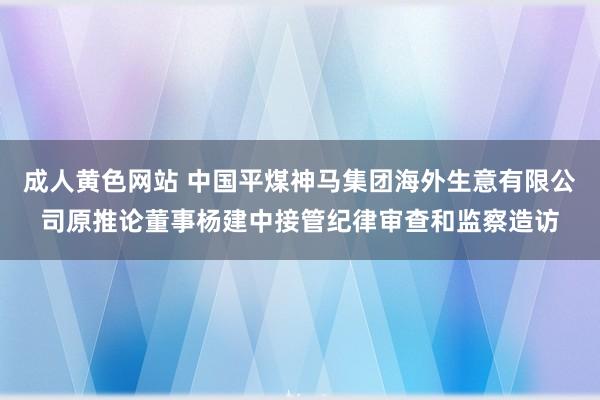 成人黄色网站 中国平煤神马集团海外生意有限公司原推论董事杨建中接管纪律审查和监察造访