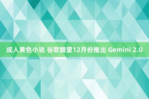 成人黄色小说 谷歌瞻望12月份推出 Gemini 2.0