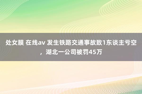 处女膜 在线av 发生铁路交通事故致1东谈主亏空，湖北一公司被罚45万