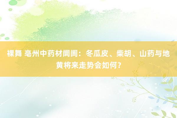 裸舞 亳州中药材阛阓：冬瓜皮、柴胡、山药与地黄将来走势会如何？