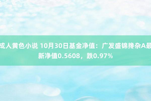 成人黄色小说 10月30日基金净值：广发盛锦搀杂A最新净值0.5608，跌0.97%