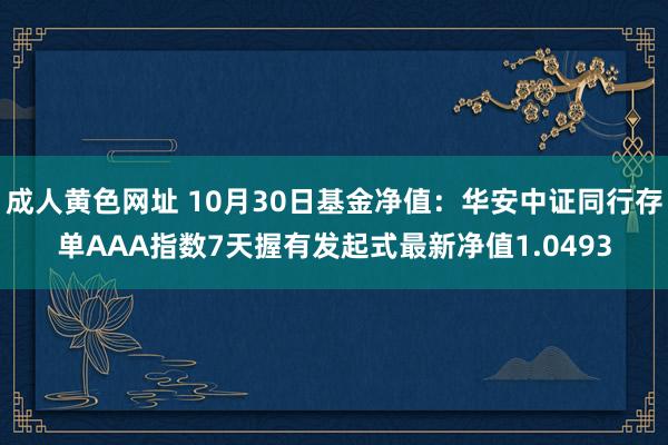 成人黄色网址 10月30日基金净值：华安中证同行存单AAA指数7天握有发起式最新净值1.0493