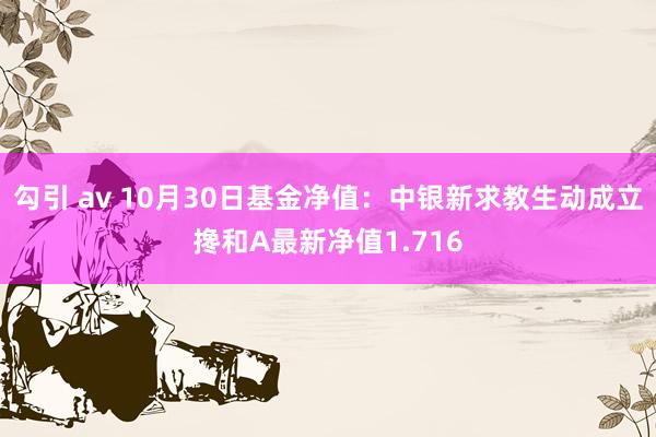 勾引 av 10月30日基金净值：中银新求教生动成立搀和A最新净值1.716