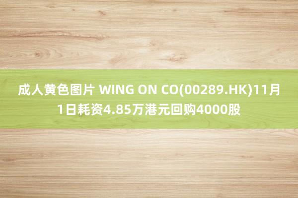 成人黄色图片 WING ON CO(00289.HK)11月1日耗资4.85万港元回购4000股