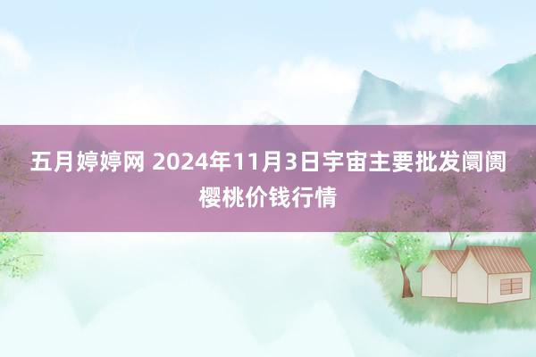 五月婷婷网 2024年11月3日宇宙主要批发阛阓樱桃价钱行情