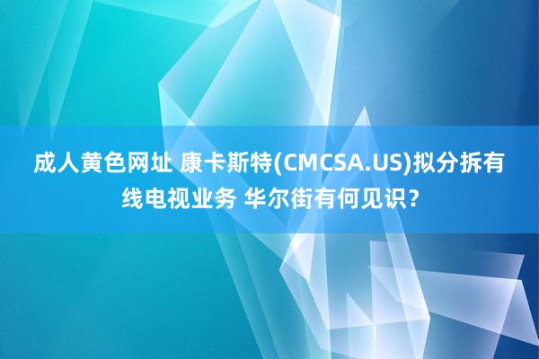 成人黄色网址 康卡斯特(CMCSA.US)拟分拆有线电视业务 华尔街有何见识？