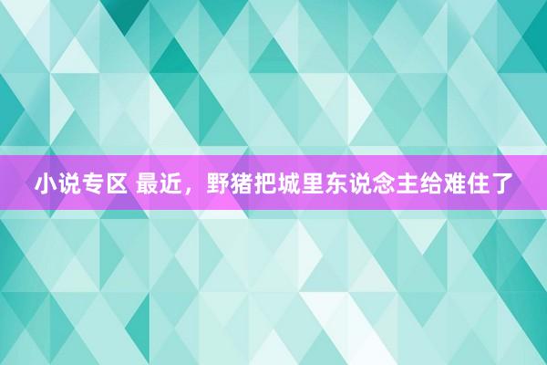 小说专区 最近，野猪把城里东说念主给难住了