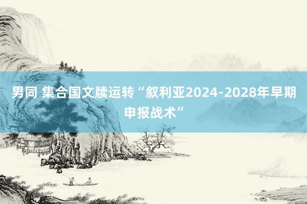 男同 集合国文牍运转“叙利亚2024-2028年早期申报战术”