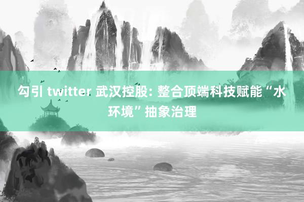 勾引 twitter 武汉控股: 整合顶端科技赋能“水环境”抽象治理