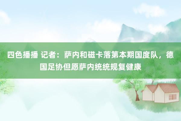 四色播播 记者：萨内和磁卡落第本期国度队，德国足协但愿萨内统统规复健康