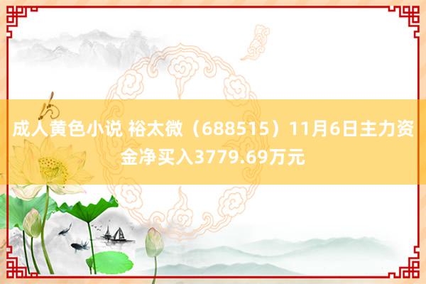 成人黄色小说 裕太微（688515）11月6日主力资金净买入3779.69万元