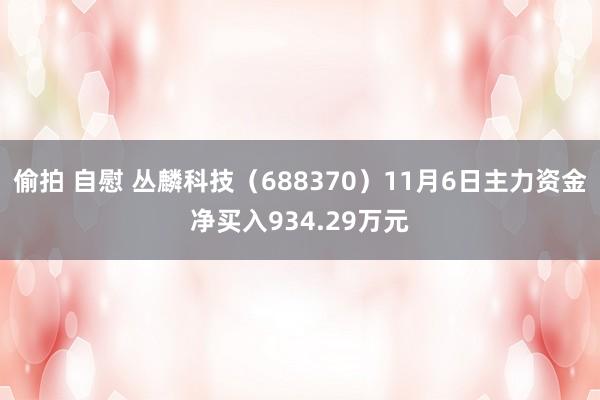 偷拍 自慰 丛麟科技（688370）11月6日主力资金净买入934.29万元