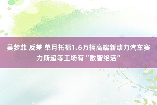 吴梦菲 反差 单月托福1.6万辆高端新动力汽车赛力斯超等工场有“数智绝活”