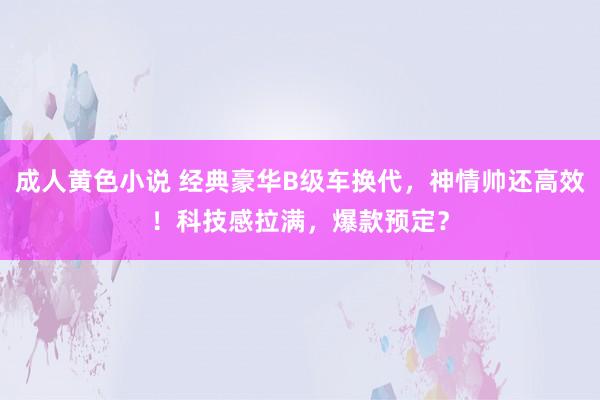 成人黄色小说 经典豪华B级车换代，神情帅还高效！科技感拉满，爆款预定？