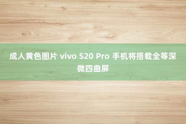 成人黄色图片 vivo S20 Pro 手机将搭载全等深微四曲屏